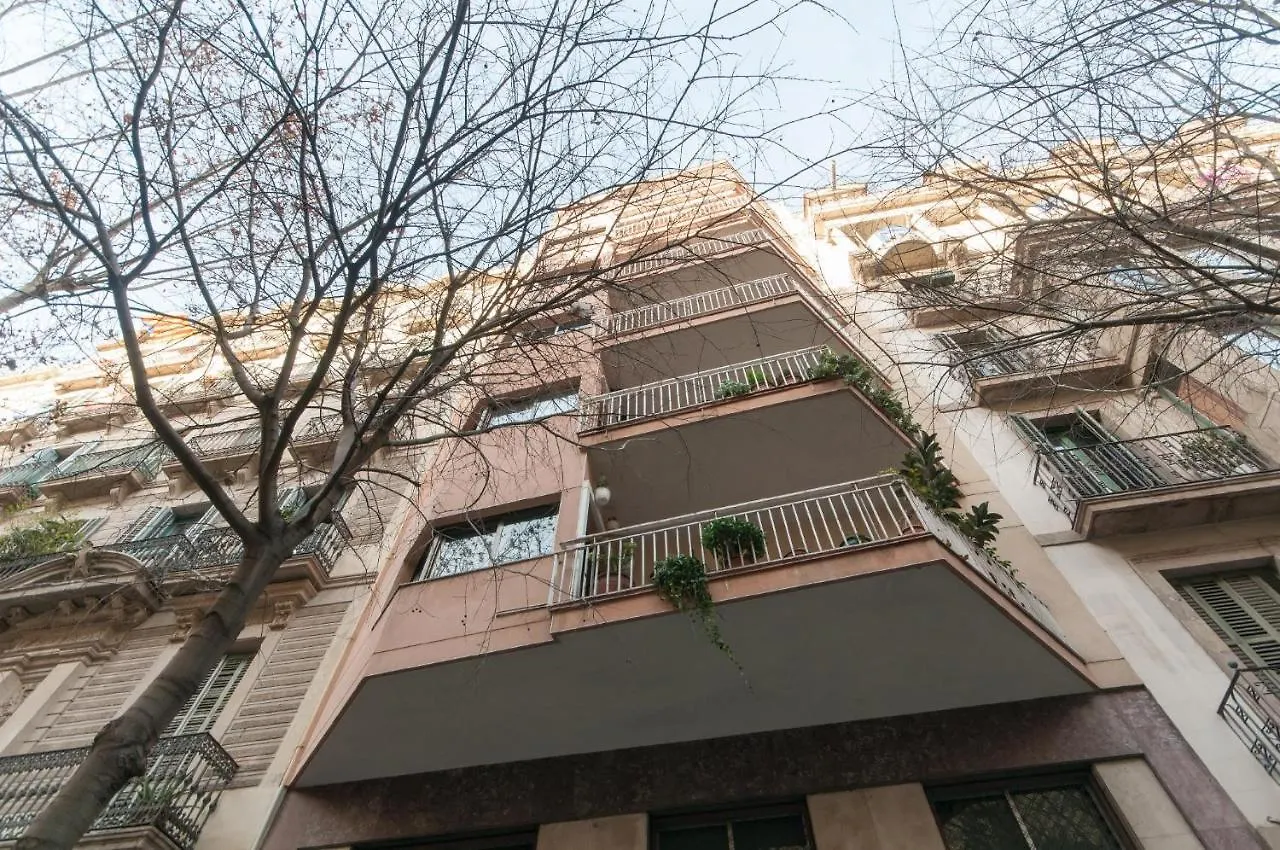 Elevated Experience - Urquinaona Barcelona